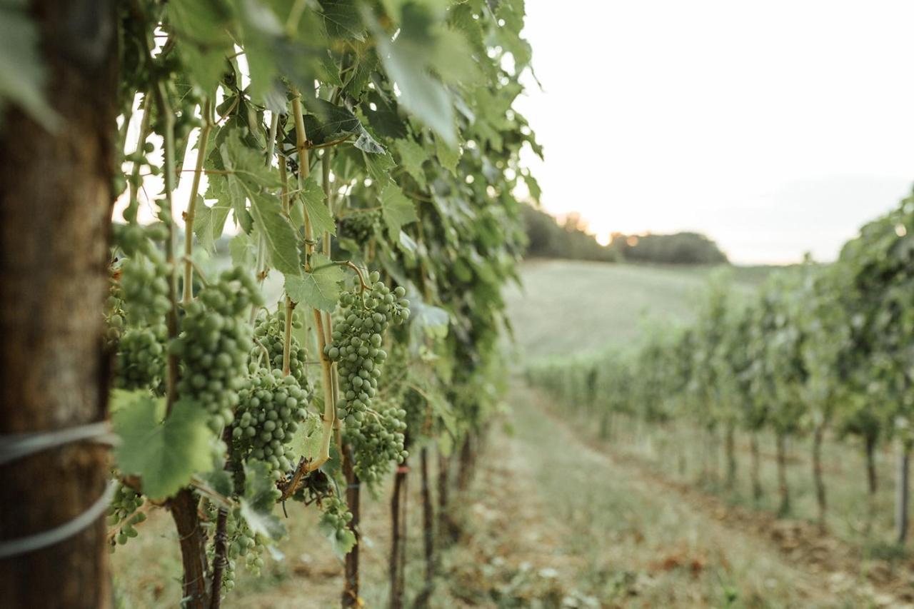 Perelli Winery Villa Bucine Bagian luar foto